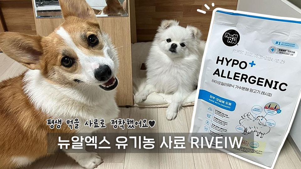 사료 리뷰 동영상